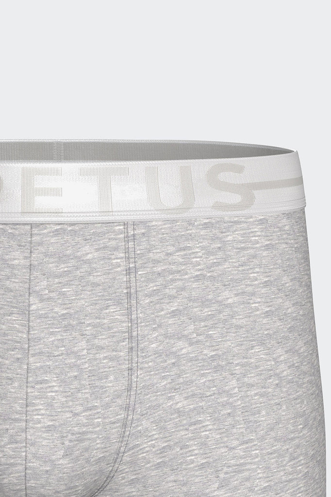 Impetus Retro Cotton-Stretch aus Baumwolle mit Elasthan in Grau