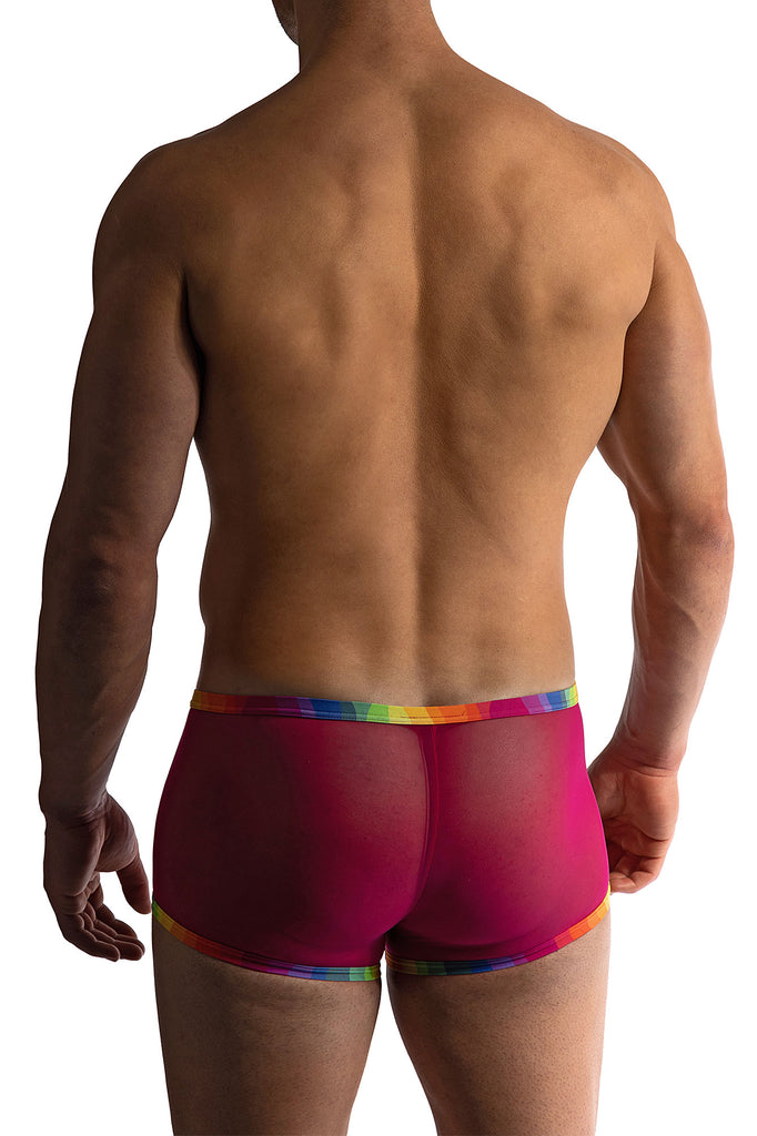 Manstore Micro Pants M2411 aus Tüll und Jersey in Violett