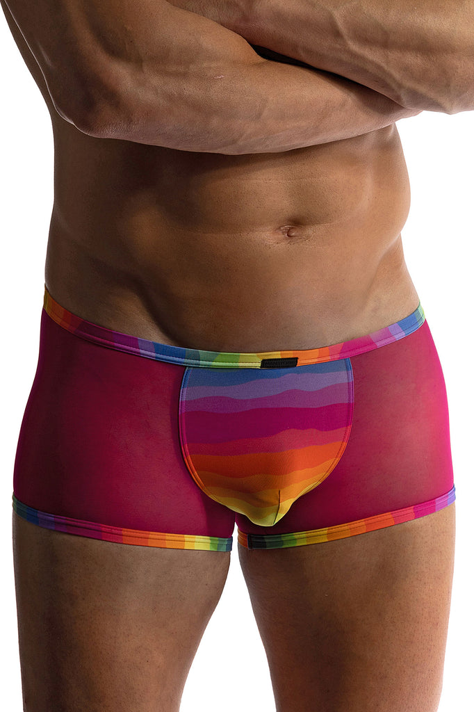Manstore Micro Pants M2411 aus Tüll und Jersey in Violett