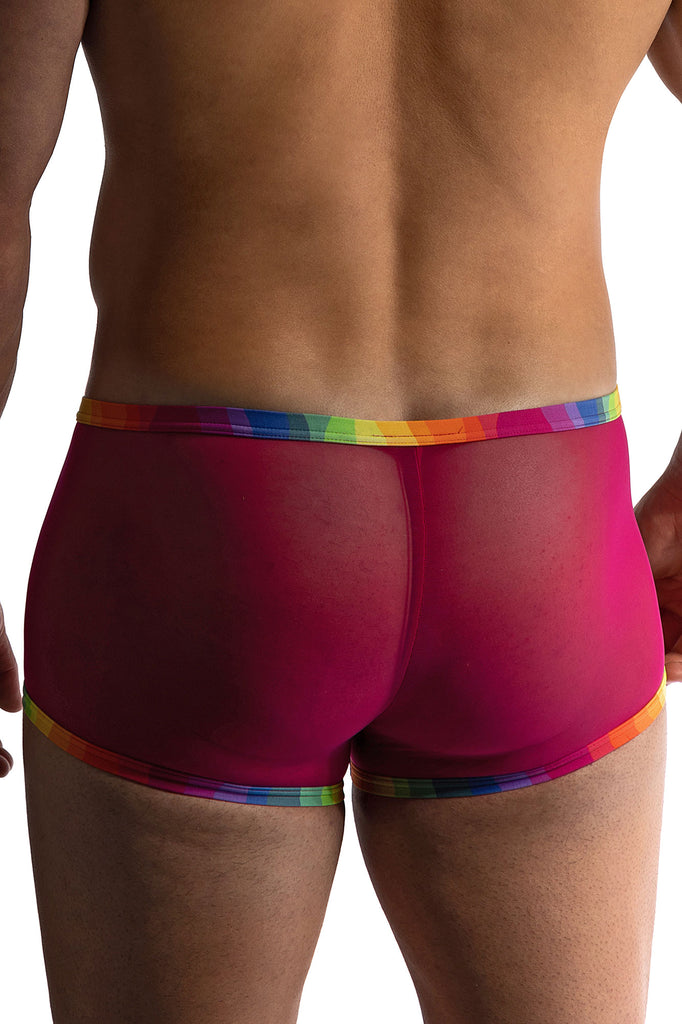 Manstore Micro Pants M2411 aus Tüll und Jersey in Violett