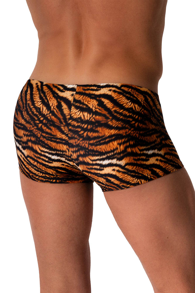 Manstore Micro Pants String M2568 aus Microfaser mit Tiger-Druck