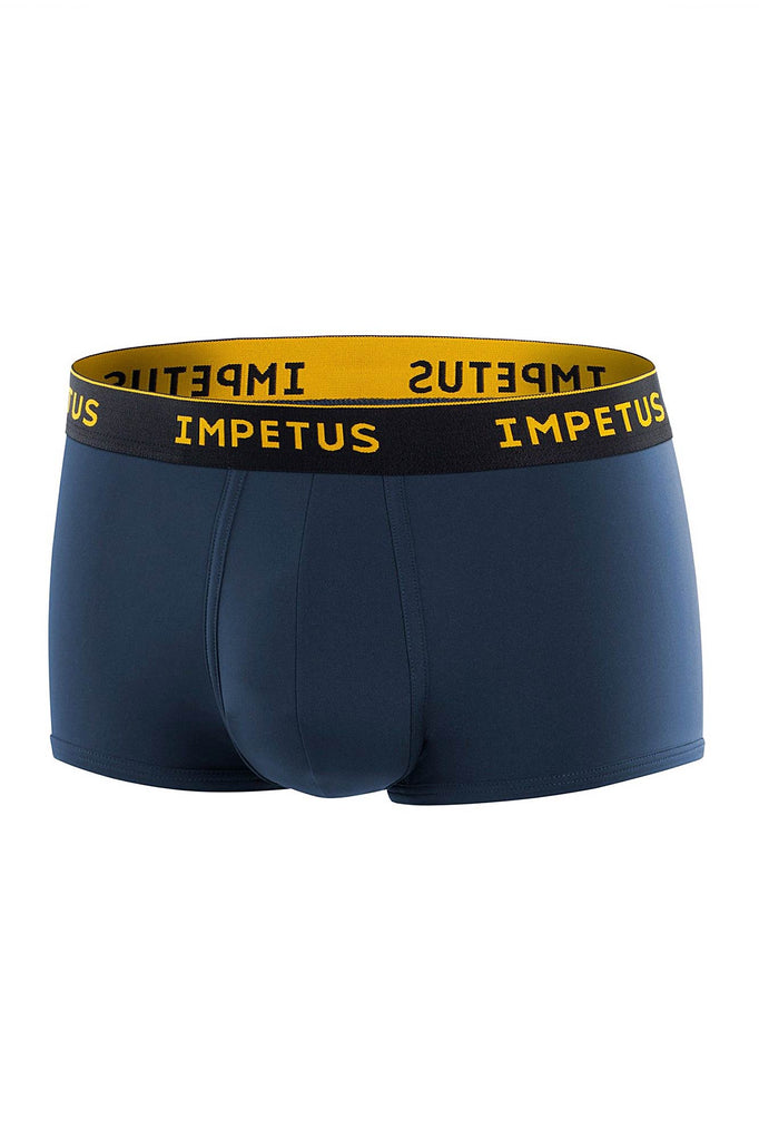 Impetus Boxer Trunk Voyager - grau