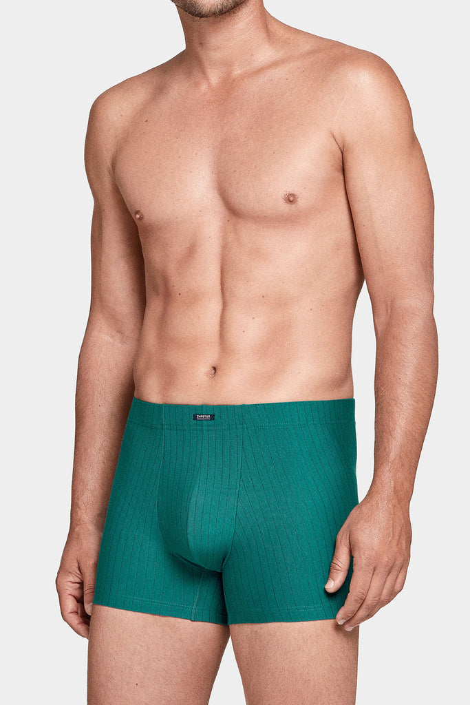 Impetus Retro-Boxer Tigray - green