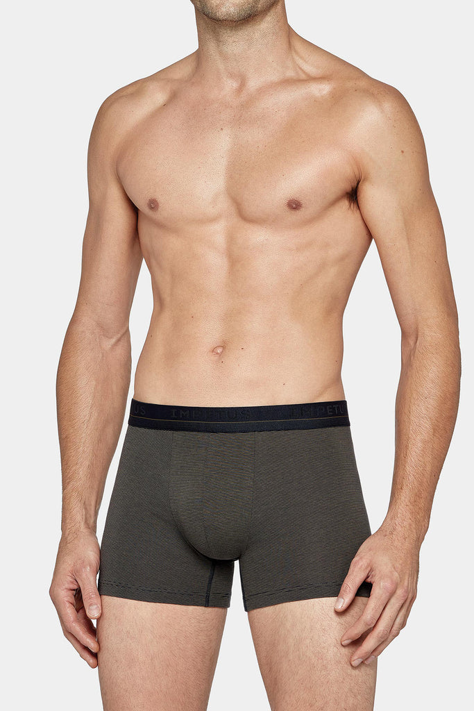 2x Impetus Boxer-Retro Howlite - green/navy