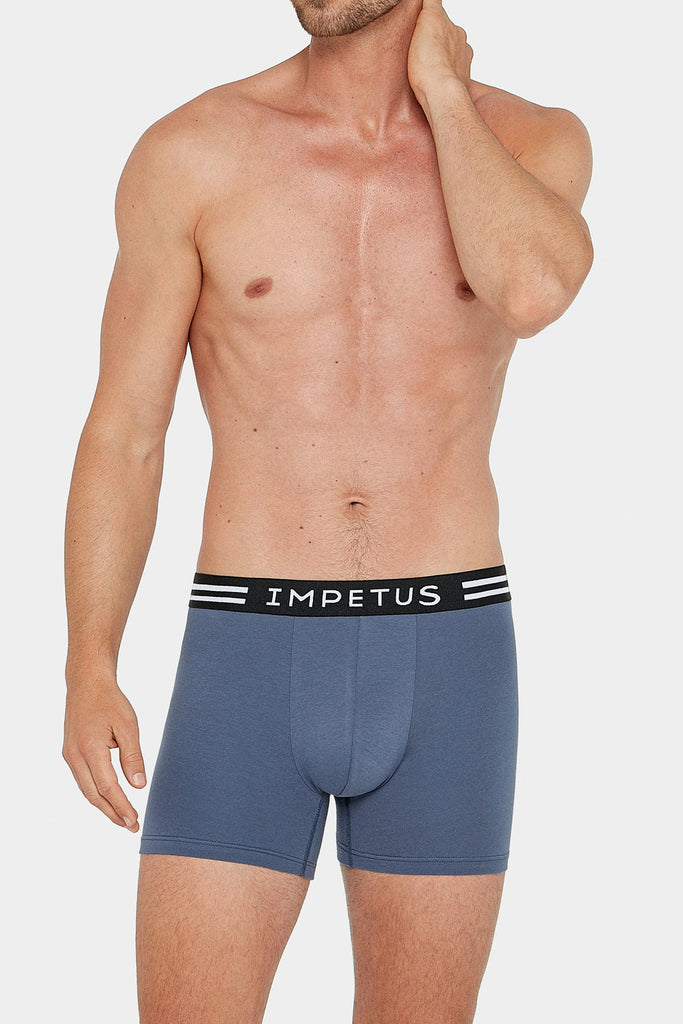 2x Impetus Boxer-Retro Lipe - orange/blue