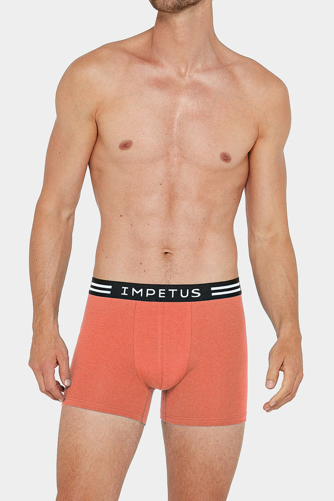 2x Impetus Boxer-Retro Lipe - orange/blue