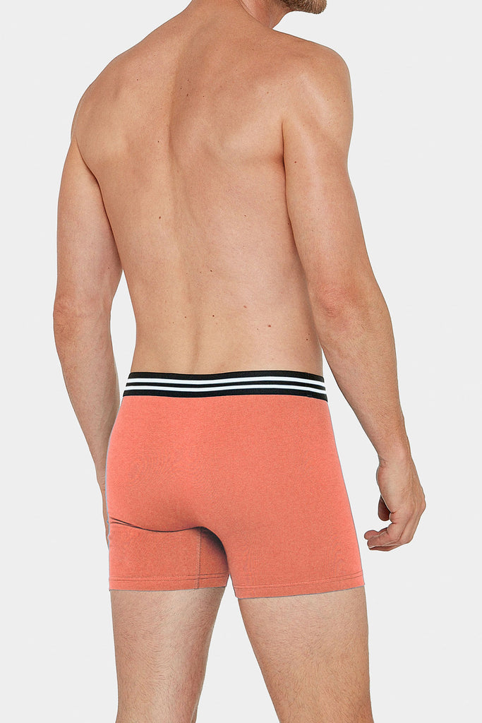 2x Impetus Boxer-Retro Lipe - orange/blue