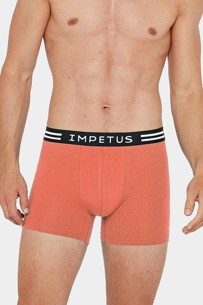 2x Impetus Boxer-Retro Lipe - orange/blue