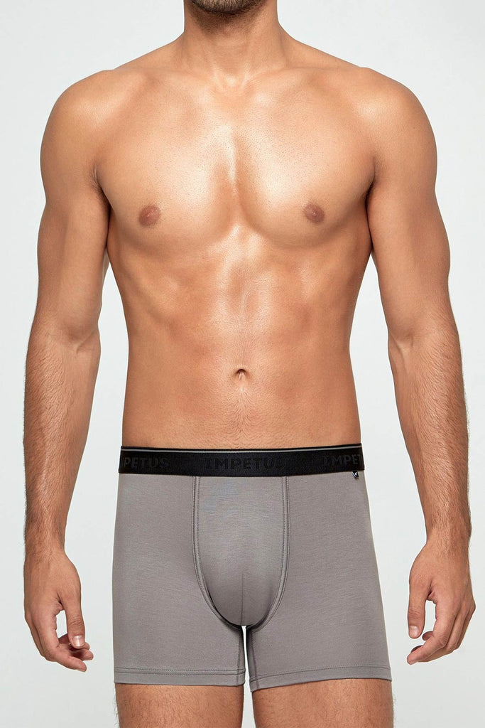 Impetus Pant Soft Premium 2166F84 aus Lyocell in Grau
