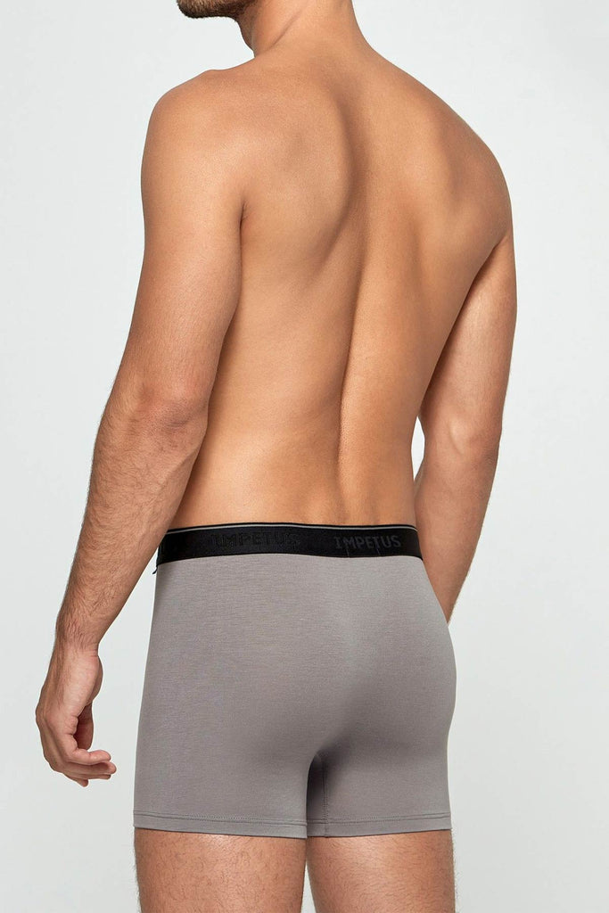 Impetus Pant Soft Premium 2166F84 aus Lyocell in Grau