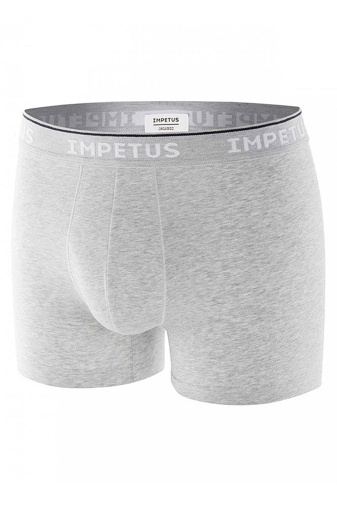 IMPETUS Retro Organic - grau