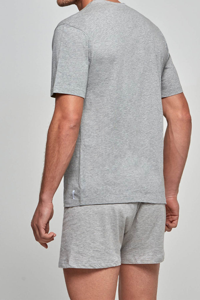 IMPETUS V-Shirt Pure Cotton - grau