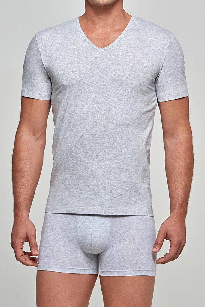 IMPETUS Shirt Organic - grau