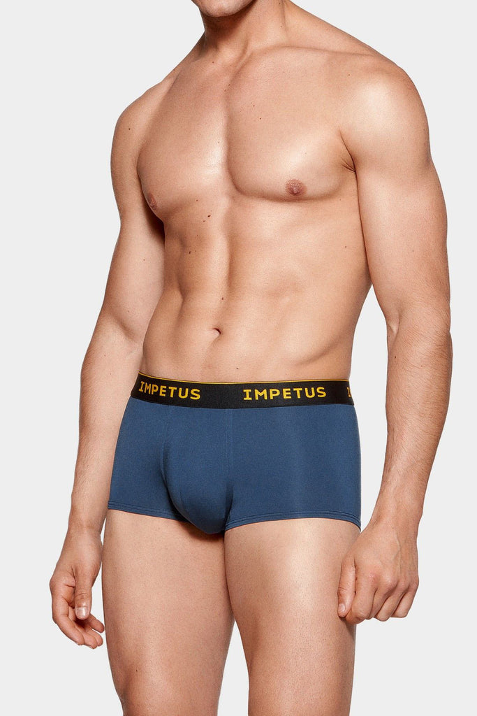 Impetus Boxer Trunk Voyager - grau
