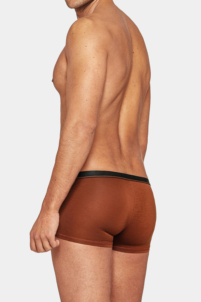 I AM WHAT I WEAR Trunk True - brown
