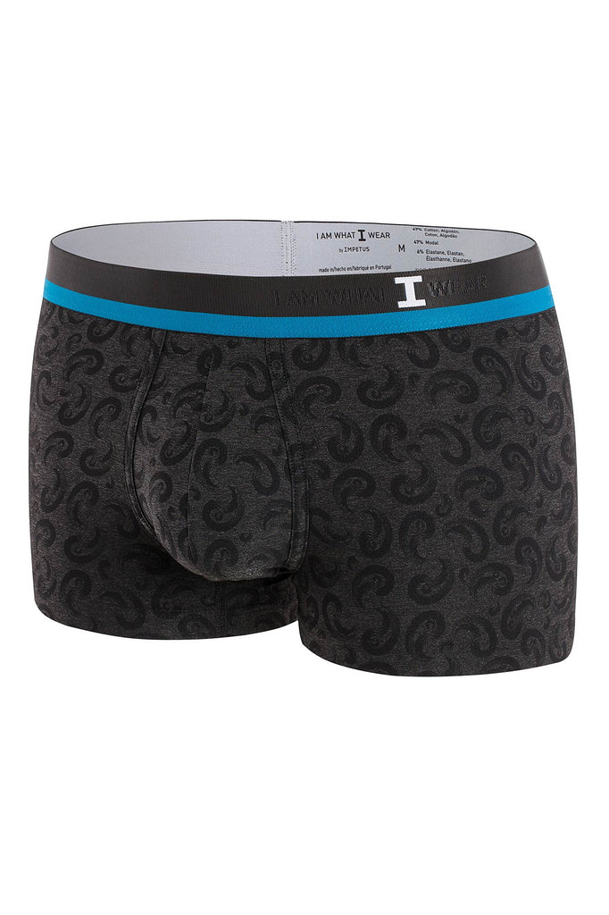 I AM WHAT I WEAR Retro Brief G75 - black