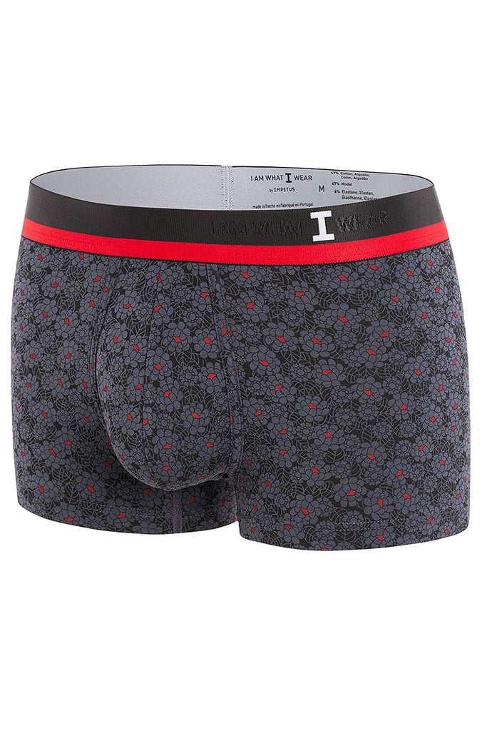 I AM WHAT I WEAR Retro Brief G82 - grey