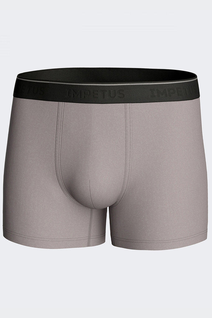 Impetus Pant Soft Premium 2166F84 aus Lyocell in Grau